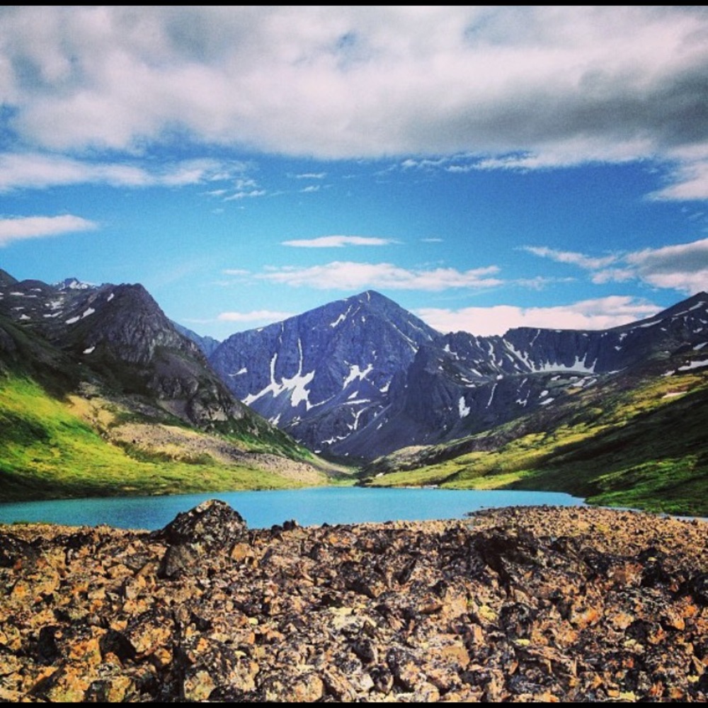 Meet your Posher, 2life2